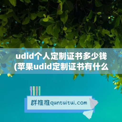 udid个人定制证书多少钱(苹果udid定制证书有什么用)