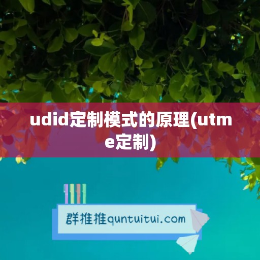 udid定制模式的原理(utme定制)