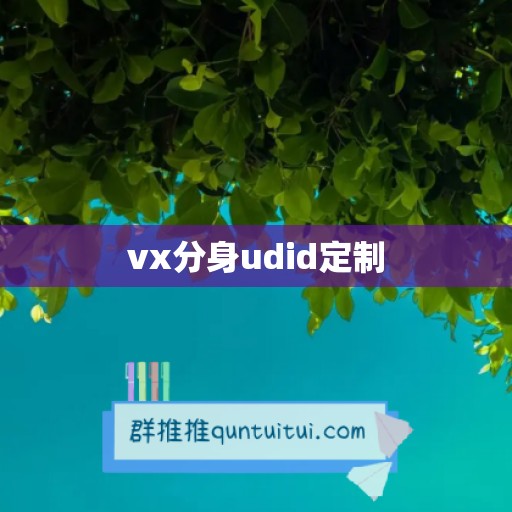 vx分身udid定制