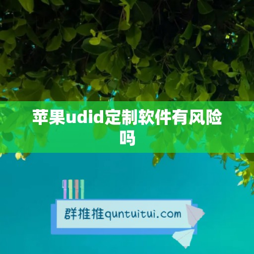 苹果udid定制软件有风险吗