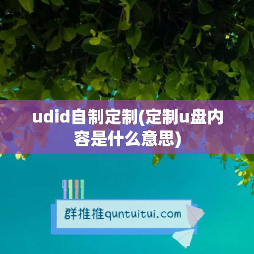 udid自制定制(定制u盘内容是什么意思)