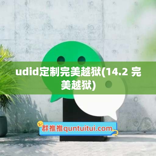 udid定制完美越狱(14.2 完美越狱)