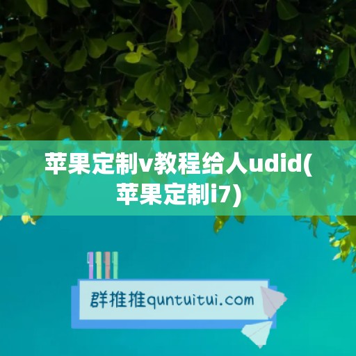 苹果定制v教程给人udid(苹果定制i7)