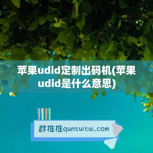 苹果udid定制出码机(苹果udid是什么意思)