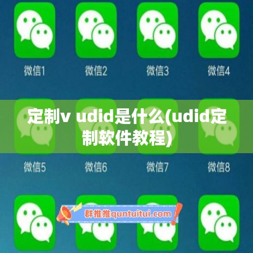 定制v udid是什么(udid定制软件教程)