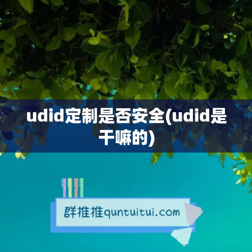 udid定制是否安全(udid是干嘛的)