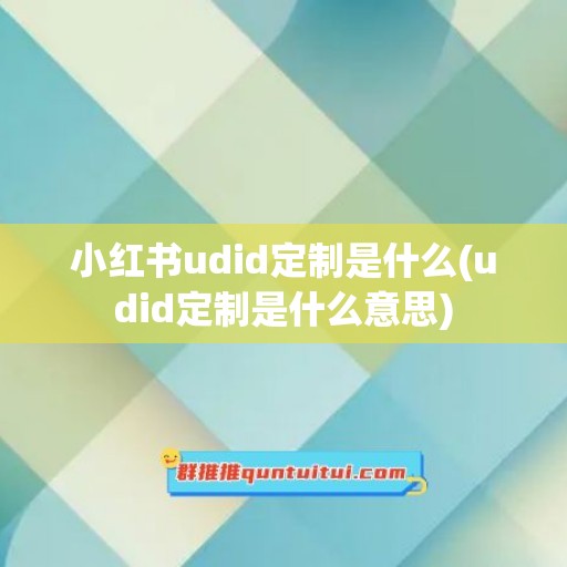 小红书udid定制是什么(udid定制是什么意思)