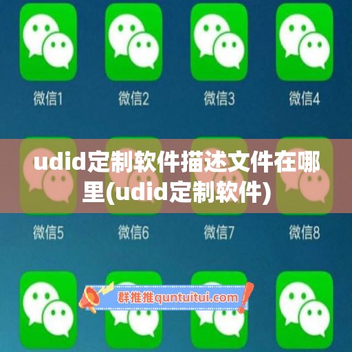 udid定制软件描述文件在哪里(udid定制软件)