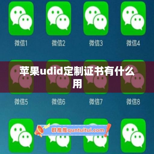 苹果udid定制证书有什么用