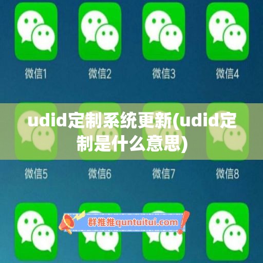 udid定制系统更新(udid定制是什么意思)