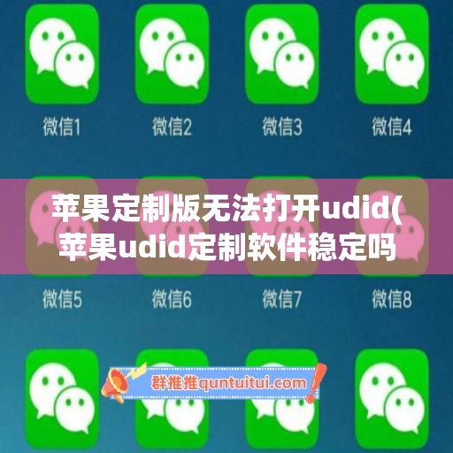 苹果定制版无法打开udid(苹果udid定制软件稳定吗)