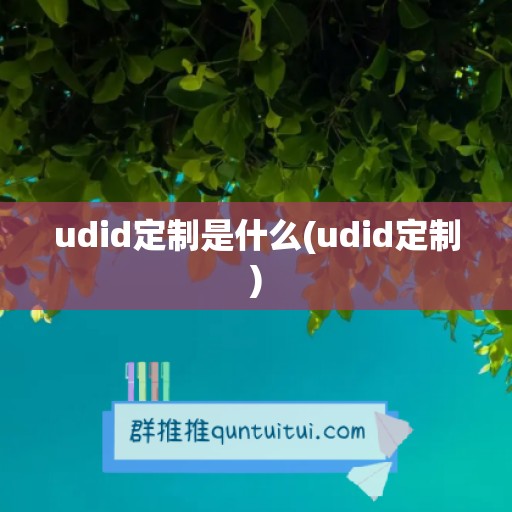 udid定制是什么(udid定制)