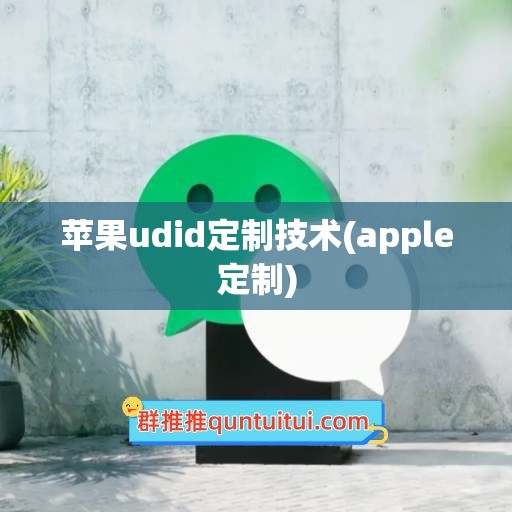 苹果udid定制技术(apple定制)