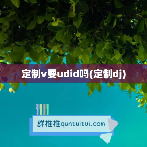 定制v要udid吗(定制dj)