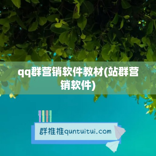 qq群营销软件教材(站群营销软件)