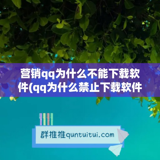 营销qq为什么不能下载软件(qq为什么禁止下载软件)