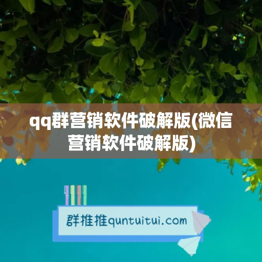 qq群营销软件破解版(微信营销软件破解版)