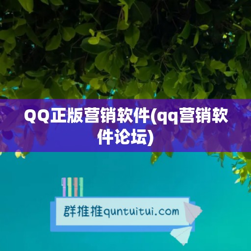 QQ正版营销软件(qq营销软件论坛)