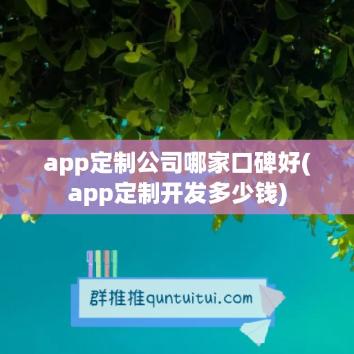 app定制公司哪家口碑好(app定制开发多少钱)