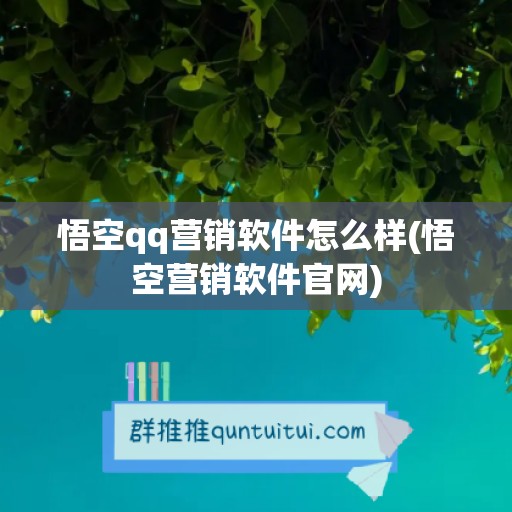 悟空qq营销软件怎么样(悟空营销软件官网)