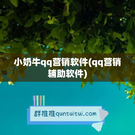 小奶牛qq营销软件(qq营销辅助软件)