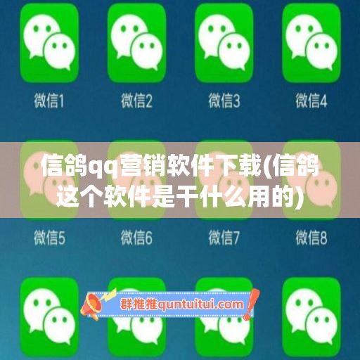 信鸽qq营销软件下载(信鸽这个软件是干什么用的)