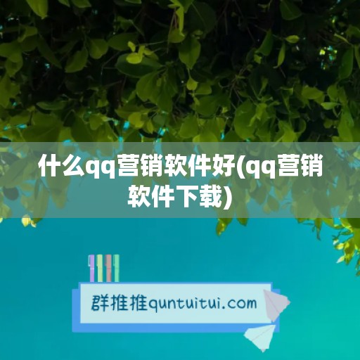 什么qq营销软件好(qq营销软件下载)