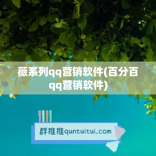 薇系列qq营销软件(百分百qq营销软件)