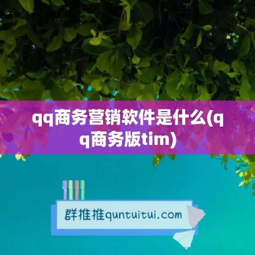 qq商务营销软件是什么(qq商务版tim)