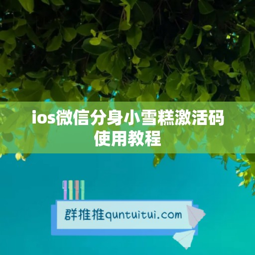 ios微信分身小雪糕激活码使用教程