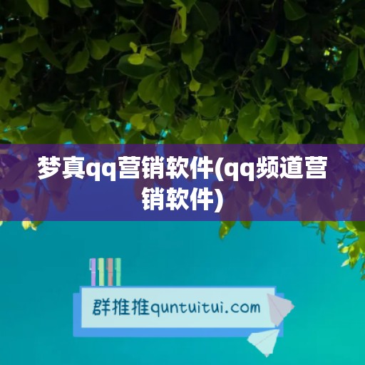 梦真qq营销软件(qq频道营销软件)