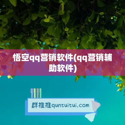 悟空qq营销软件(qq营销辅助软件)