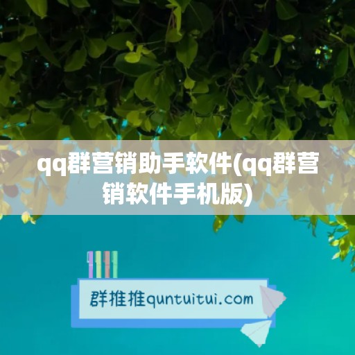 qq群营销助手软件(qq群营销软件手机版)