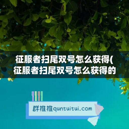 征服者扫尾双号怎么获得(征服者扫尾双号怎么获得的)