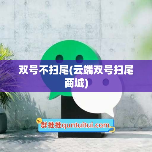 双号不扫尾(云端双号扫尾商城)