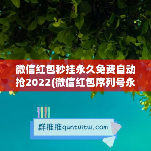 微信红包秒挂永久免费自动抢2022(微信红包序列号永久)