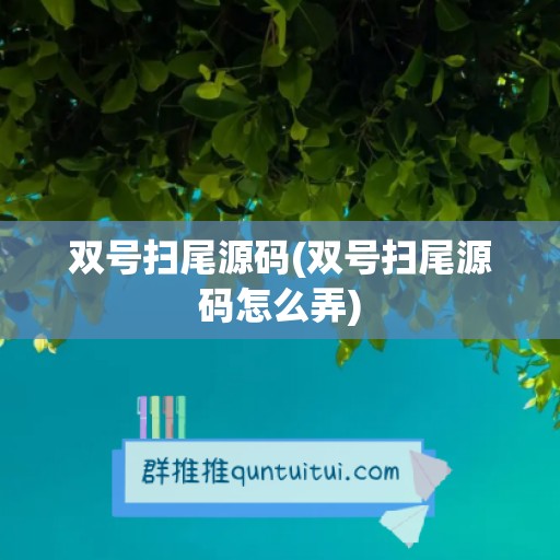 双号扫尾源码(双号扫尾源码怎么弄)