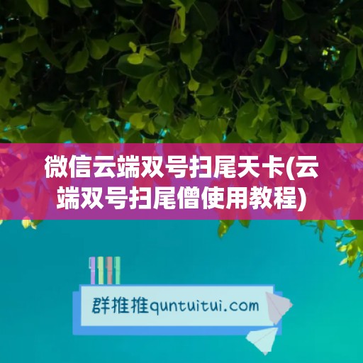 微信云端双号扫尾天卡(云端双号扫尾僧使用教程)