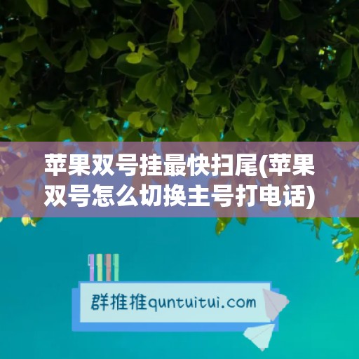 苹果双号挂最快扫尾(苹果双号怎么切换主号打电话)