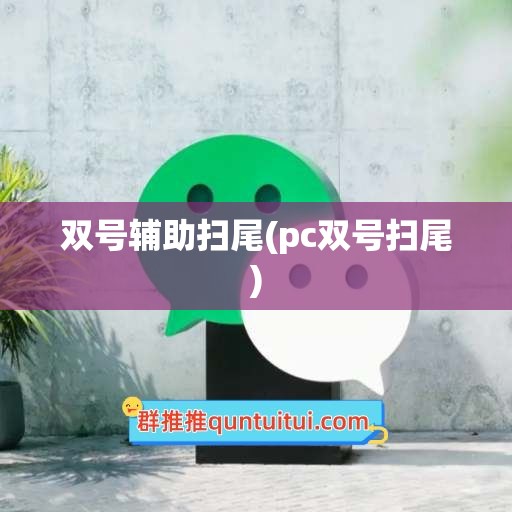 双号辅助扫尾(pc双号扫尾)