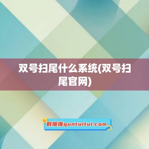 双号扫尾什么系统(双号扫尾官网)