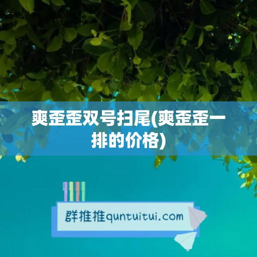 爽歪歪双号扫尾(爽歪歪一排的价格)