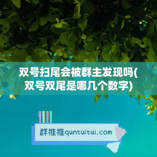 双号扫尾会被群主发现吗(双号双尾是哪几个数字)