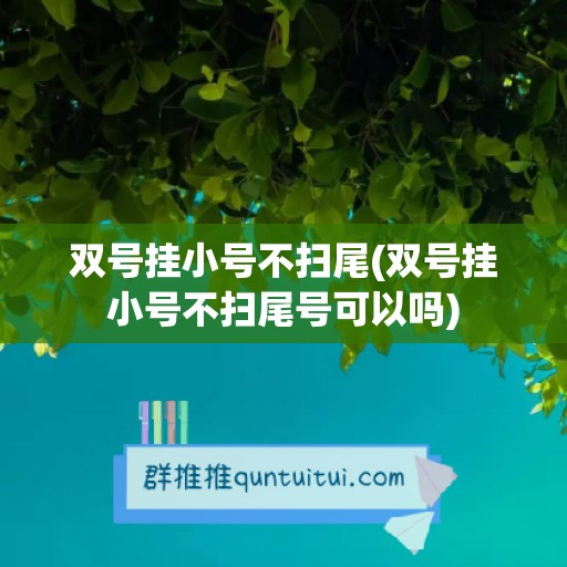 双号挂小号不扫尾(双号挂小号不扫尾号可以吗)