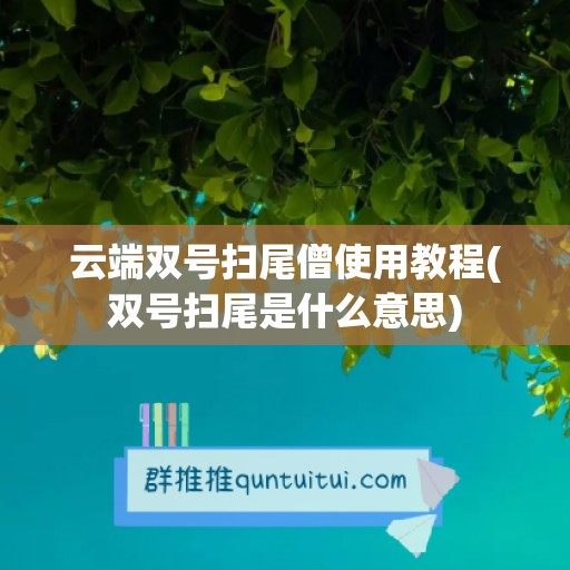 云端双号扫尾僧使用教程(双号扫尾是什么意思)