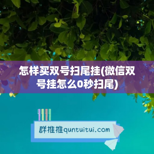 怎样买双号扫尾挂(微信双号挂怎么0秒扫尾)