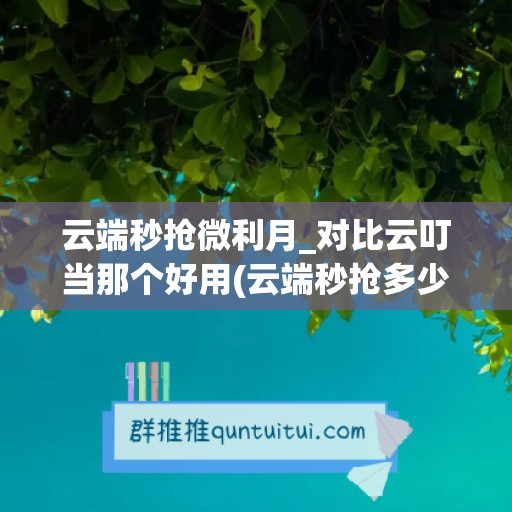 云端秒抢微利月_对比云叮当那个好用(云端秒抢多少钱一个月)