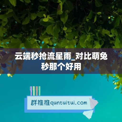 云端秒抢流星雨_对比萌兔秒那个好用