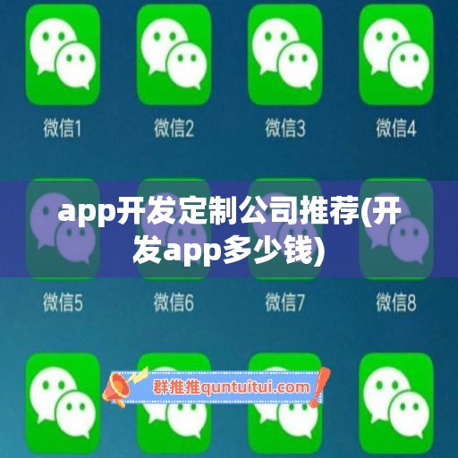 app开发定制公司推荐(开发app多少钱)