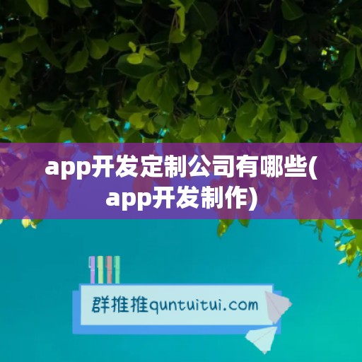 app开发定制公司有哪些(app开发制作)